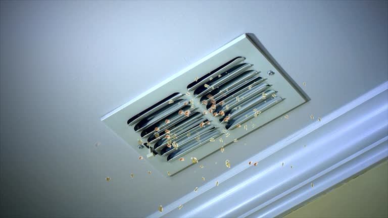 Best HVAC System Cleaning  in Lock Haven, PA