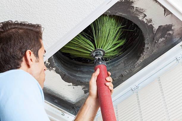 Best Local Air Duct Cleaning Services  in Lock Haven, PA